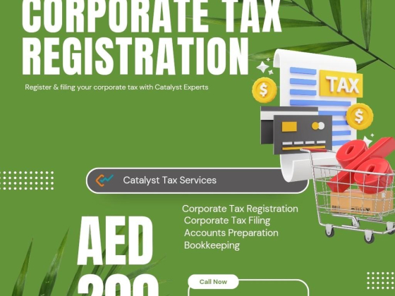 Catalyst Tax Services
