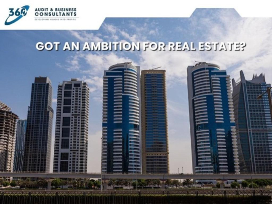 360 Business Consultants