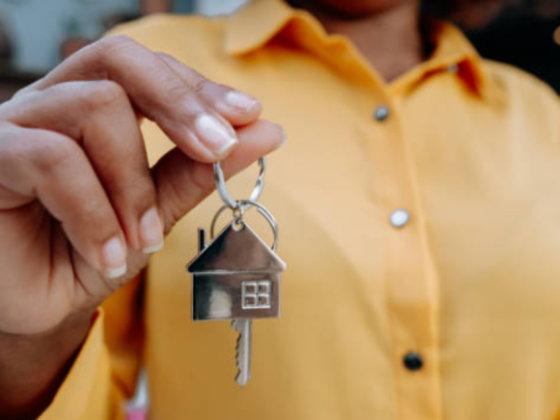 A M B S Real Estate Development
