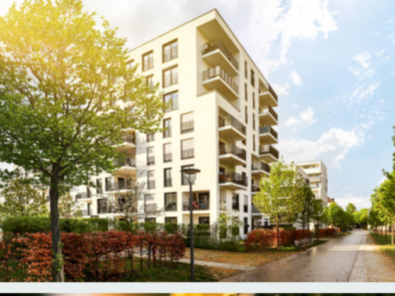 A M B S Real Estate Development