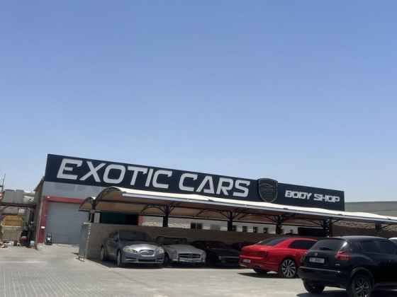 Exotic Cars
