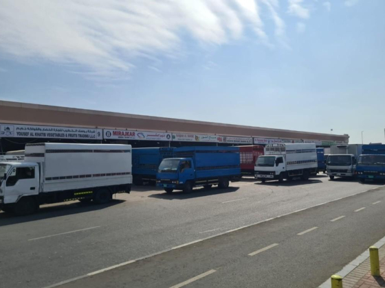 Sabah Al Noor Food Stuff Trading