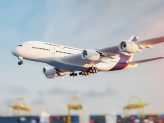 Shams Al Noor Shipping Service