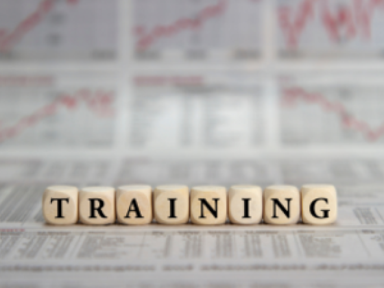 Sati Trading & Investment