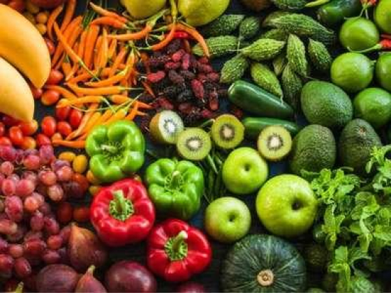 Shams Altelal Grocery
