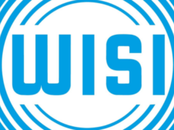 Wisi Middle East