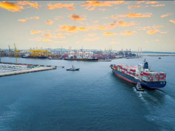 Alligator Shipping Container Line