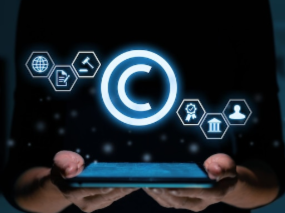 Samaha Legal Consultants