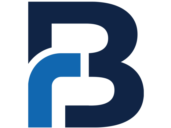 Reyson Badger Auditing Of Accounts