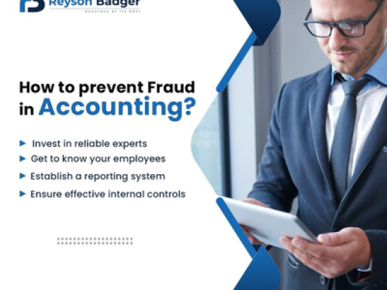 Reyson Badger Auditing Of Accounts