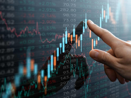 Dominos Investment Management