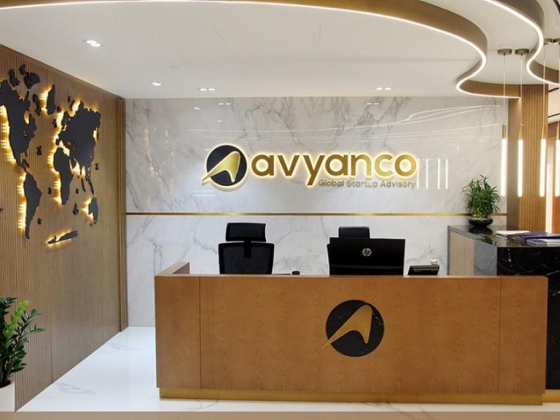 Avyanco Business Setup Consultancy