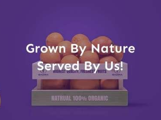 Badira Foodstuff Trading