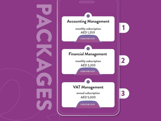 E-Accounting Smart Solutions for Smart Companies