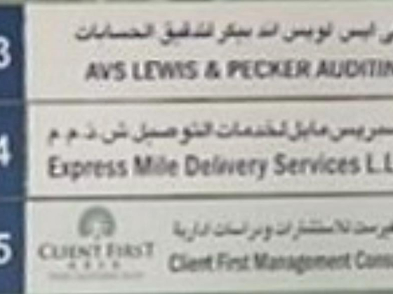 Avs Lewis & Pecker Auditing