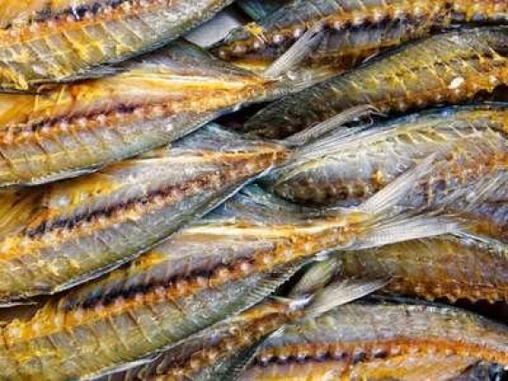 Essa Obaid Fish Seller