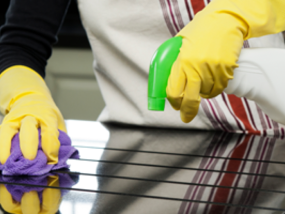 Nova Maids Cleaning Service