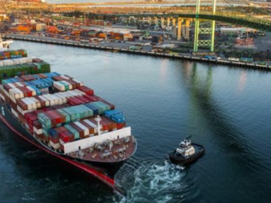 Ocean Express Shipping & Logistics