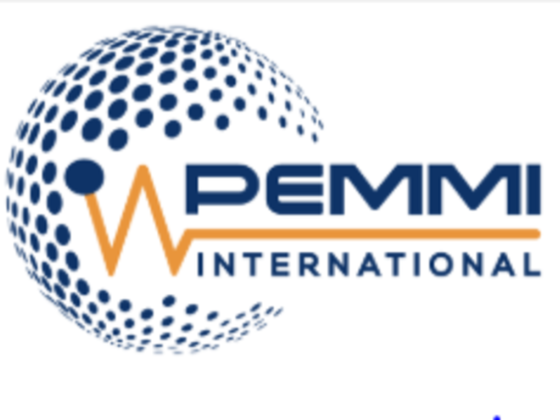 Pemmi International Electromechanical