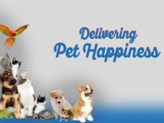 Petpro Animal Feed Trading