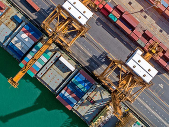 Caran Logistic Services