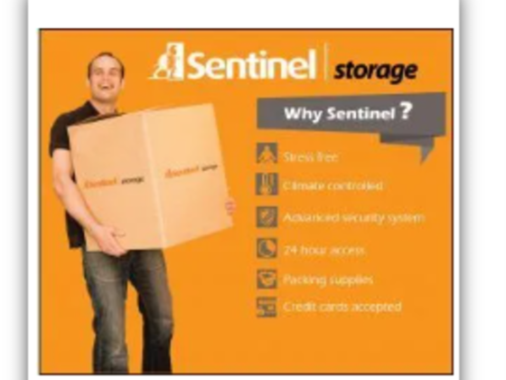 Sentinel Storage
