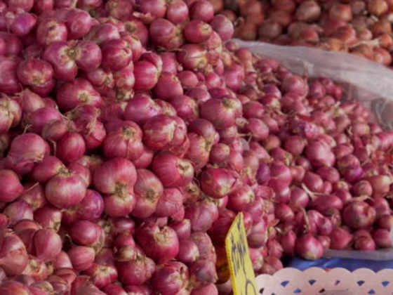Modern Farm Vegetables & Fruits Trading