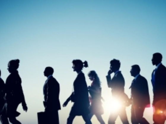 Insure Direct Brokers