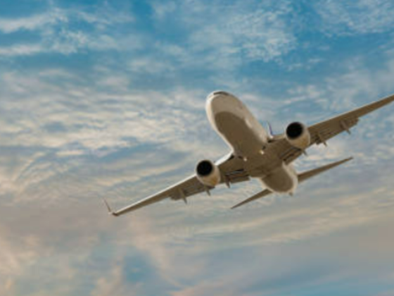 Avens Travel & Tourism