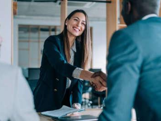 Provis Real Estate Brokers