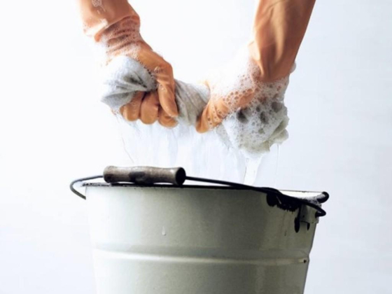 Evimiz Cleaning Services