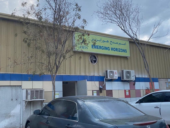 Emerging Horizons Technical Services