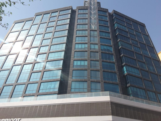 Talking Brains Centre