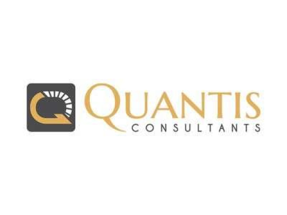Quantis Consultants Services