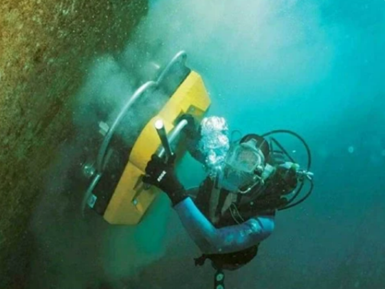 Nereus Subsea L L C