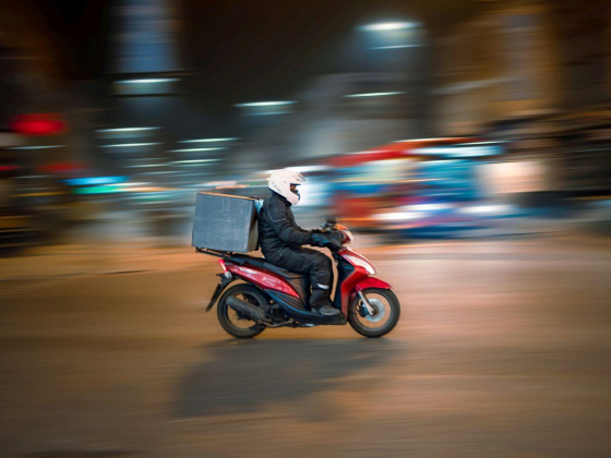 Everest Delivery Services