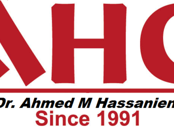AHG-Ahmed Hassanien and Co.