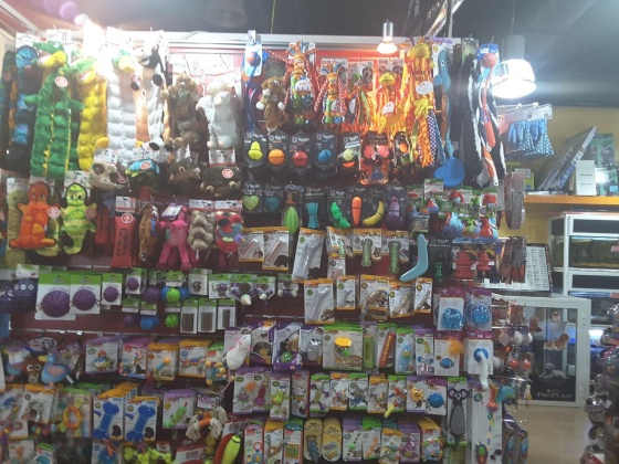 Pet Corner Trading