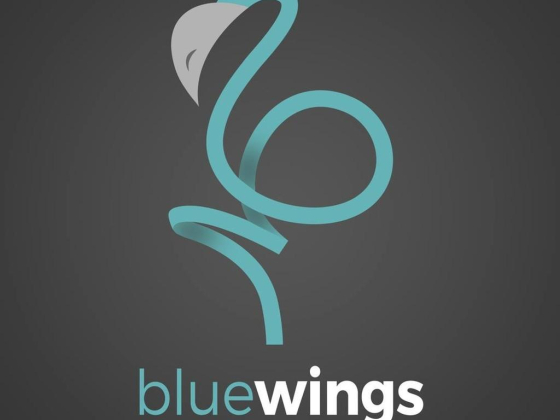 Blue Wings Travel & Tourism