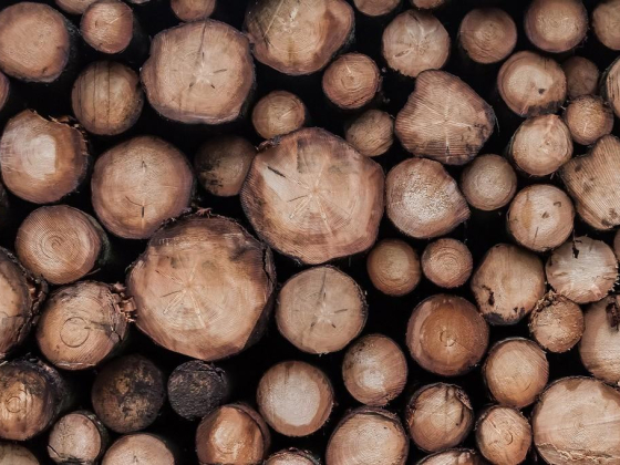 Premier Wooden Pallet Factory