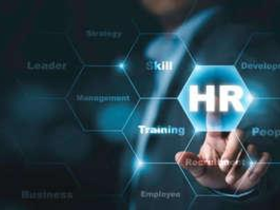 Connect Easily Human Resources Consultancies
