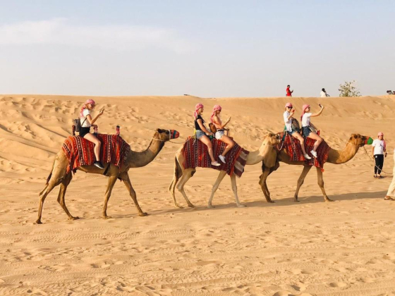 Star Safar Travel And Tourism