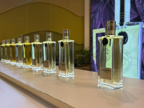 Lasting Sillage Perfumes Trading
