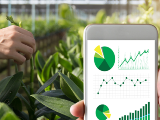 Al Aasi Agricultural Establishment