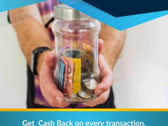 Soul Wallet Portal