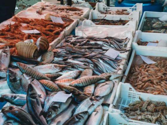 Hammad Saif Ali Bin Yalwan Fish Stall