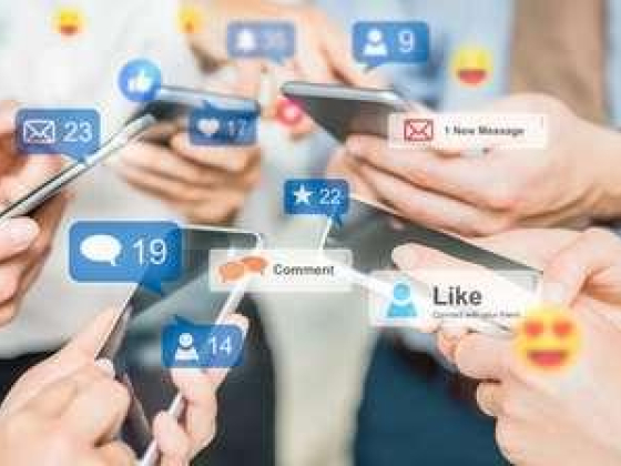 Digital Triumphs Marketing Management