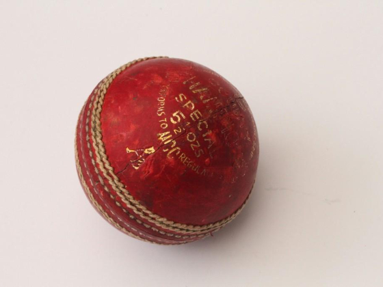 The Gardens Cricket Ground
