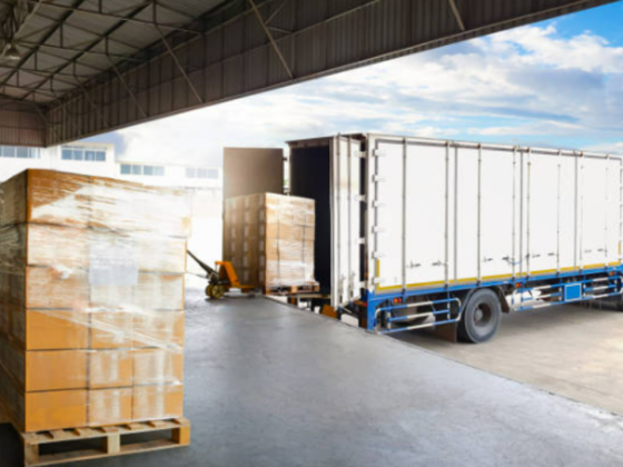 Guardianship Logistics
