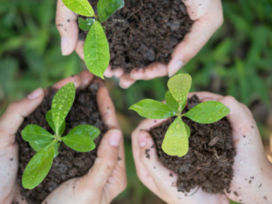 Global Soil Investigation Laboratory